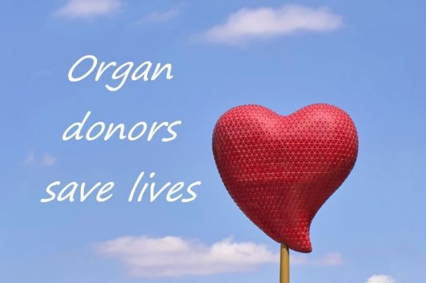 Opt Out Organ Donation The Donor Research Network 